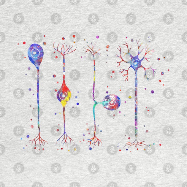 Four types of neurons by RosaliArt